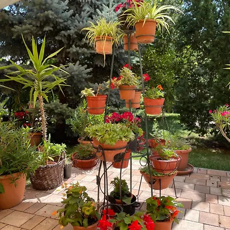 Jazmin-szieszta Apartmán *