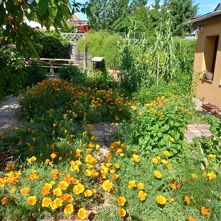 Jazmin-szieszta Apartmanhaz Apartmán Balatonfüred